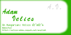 adam velics business card